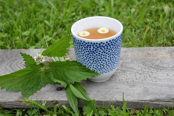 Ochutnejte náš Letní bylinný čaj