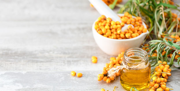 Rakytník: tajná zbraň bájného Pegase