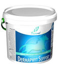 Phytovet Dermaphyt support - kůň 